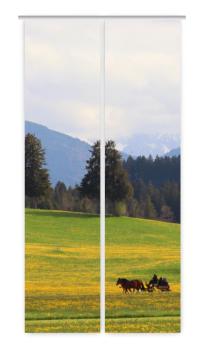 Auf dem Weg 2er Set Flächenvorhang blickdicht